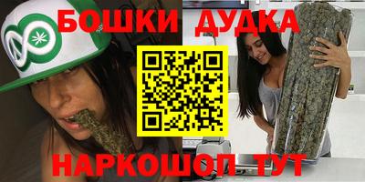 МДПВ Будённовск